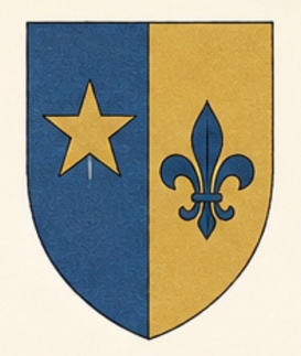 Progressive degrees of heraldic representation: reduced arms stage
